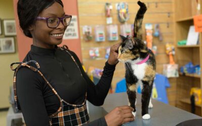 Los socios de Metro Denver Animal Welfare Alliance sufren hacinamiento en los refugios